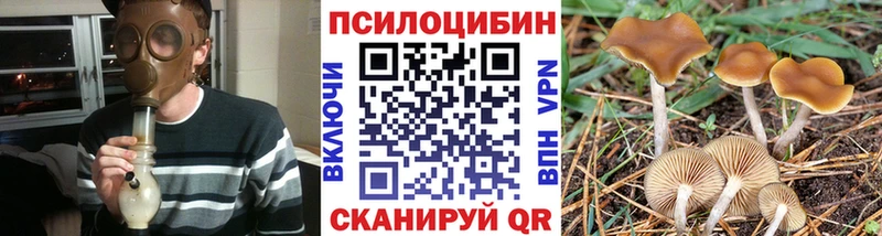 Псилоцибиновые грибы прущие грибы  Тырныауз 